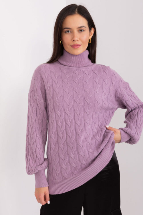 Turtleneck model 188305 AT