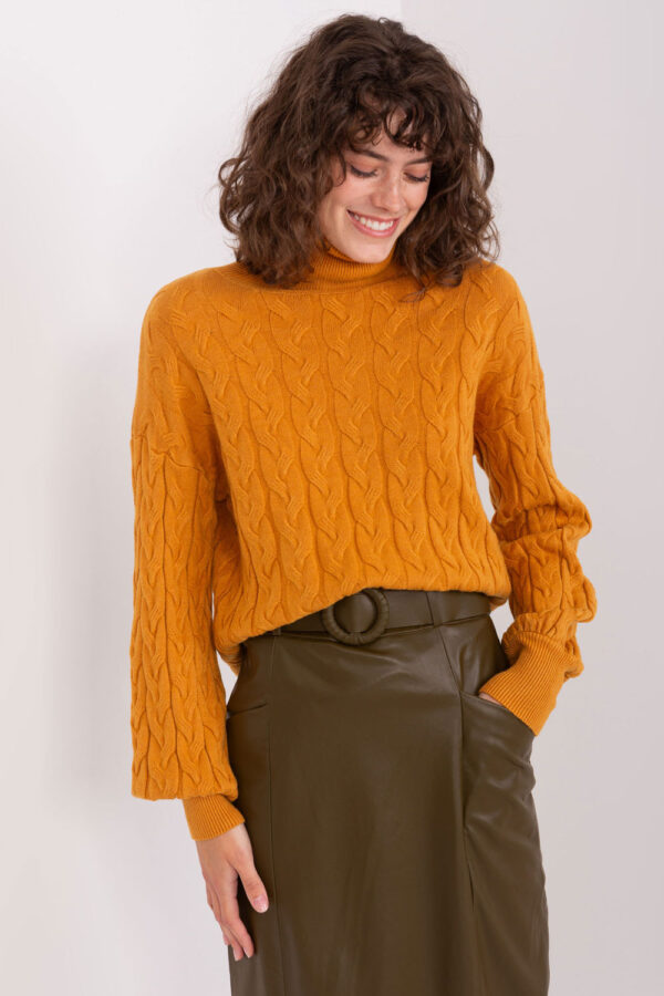 Turtleneck model 188311 AT